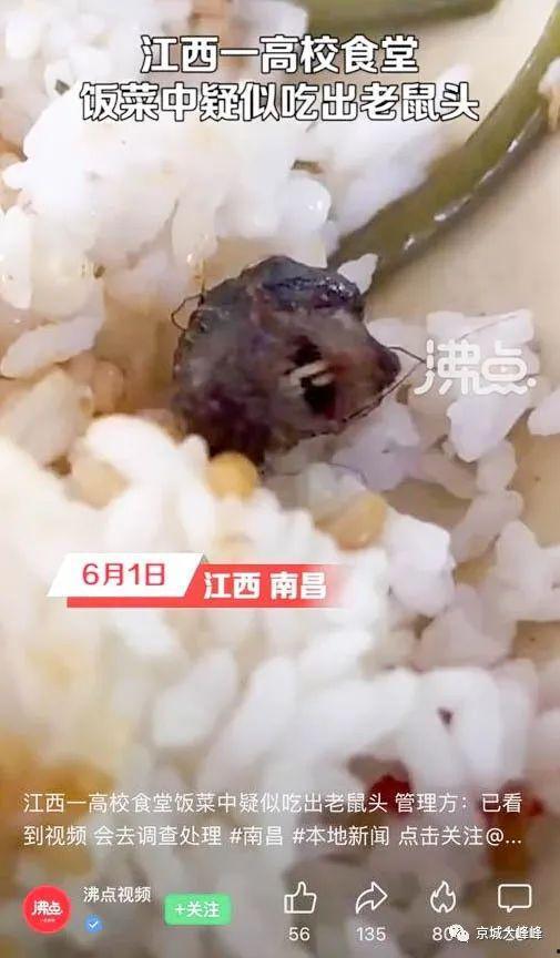 生吃老鼠视频,生吃老鼠的惊人真相