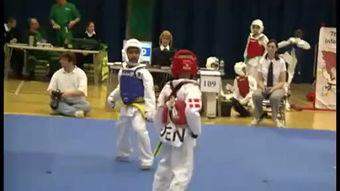 跆拳道高丽视频,视频解析与实战技巧