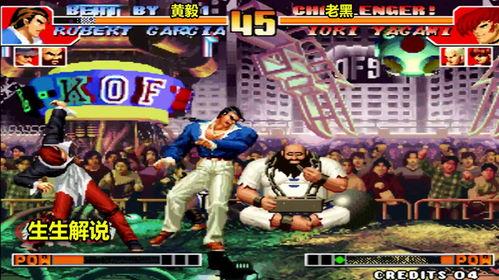 97拳皇视频世界冠军