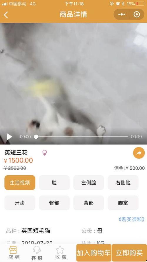 小横按视频,揭秘生活小技巧,轻松提升生活品质